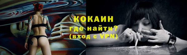 сатива Абаза