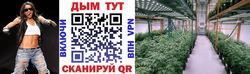 blacksprut зеркало  продажа наркотиков  Серафимович  Каннабис LSD WEED 